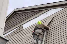 Trusted Rosemount, MN Siding Experts